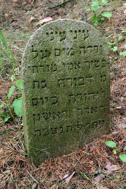 1910 IMG_0417.jpg - My eyes my eyes are dripping with water of the death of my mother, my teacher; Dvora, the daughter of Yehuda; died 4th of Adar 1 5670, Feb. 13, 1910.  (IMG_0417.jpg)